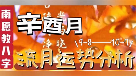 癸卯年辛酉月|【月运】2023年辛酉月（9.8~10.8）运势